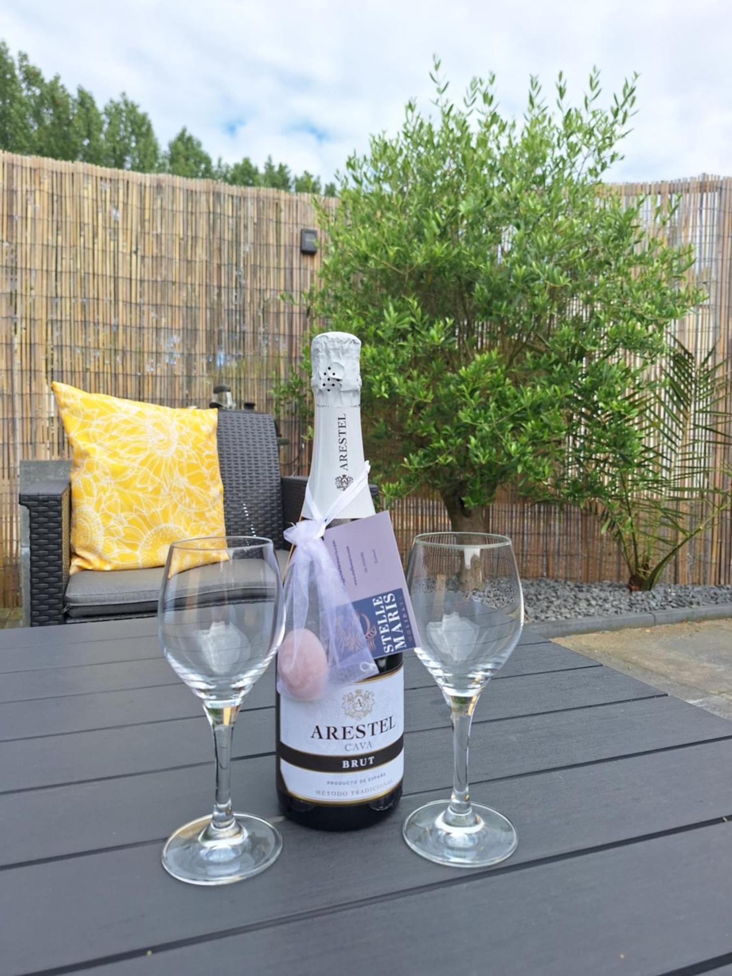 Stelle Maris, Nice Place In Heinkenszand, 2 Bedrooms, Outdoor Swimming Pool, Wifi Smart Tv And Privacy Luaran gambar